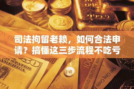 济南司法拘留老赖，如何合法申请？搞懂这三步流程不吃亏！