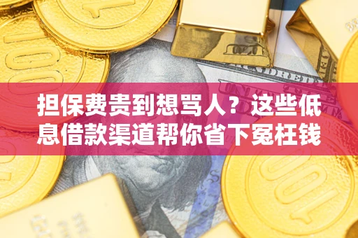 济南担保费贵到想骂人？这些低息借款渠道帮你省下冤枉钱