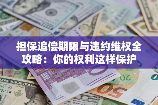 济南担保追偿期限与违约维权全攻略：你的权利这样保护